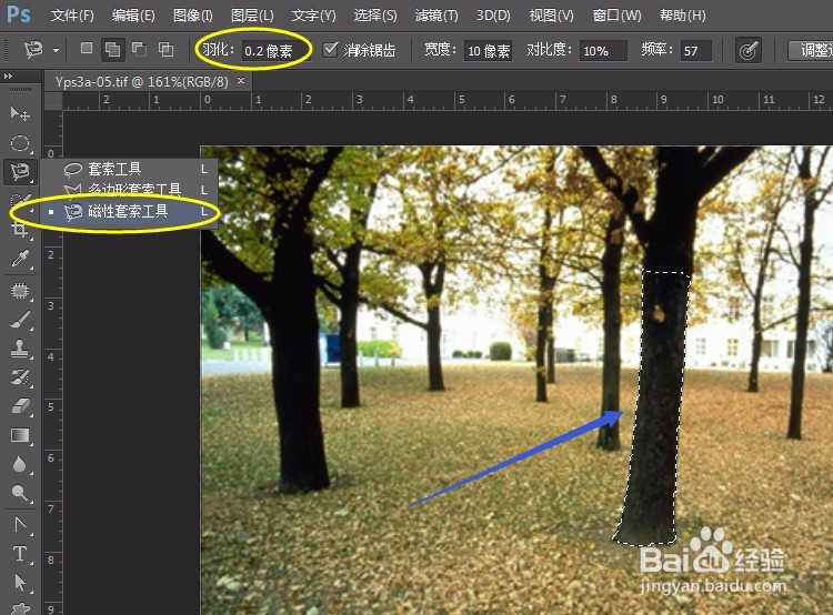 PS实例:抠图方法、技巧集合(一)