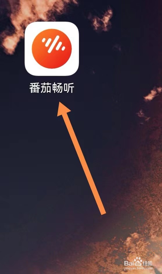番茄畅听怎样查看借钱
