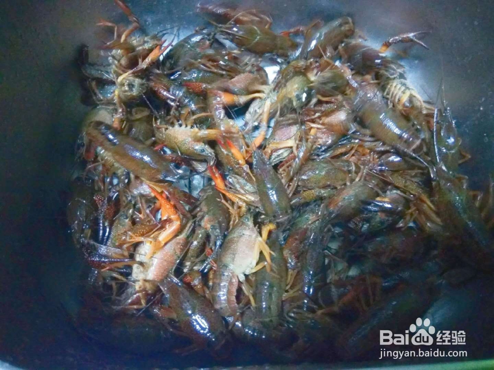 好吃不腻的小龙虾两吃微辣蒜蓉