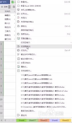 Excel设置打印区域