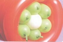 魔法气球造型系列之小花盆