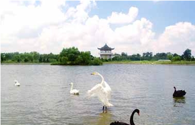 朦胧塔游玩手册