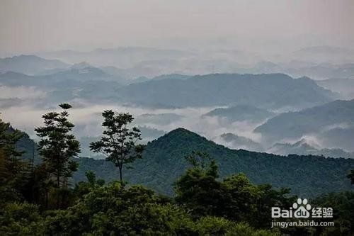 最值得去的道教名山有哪些？