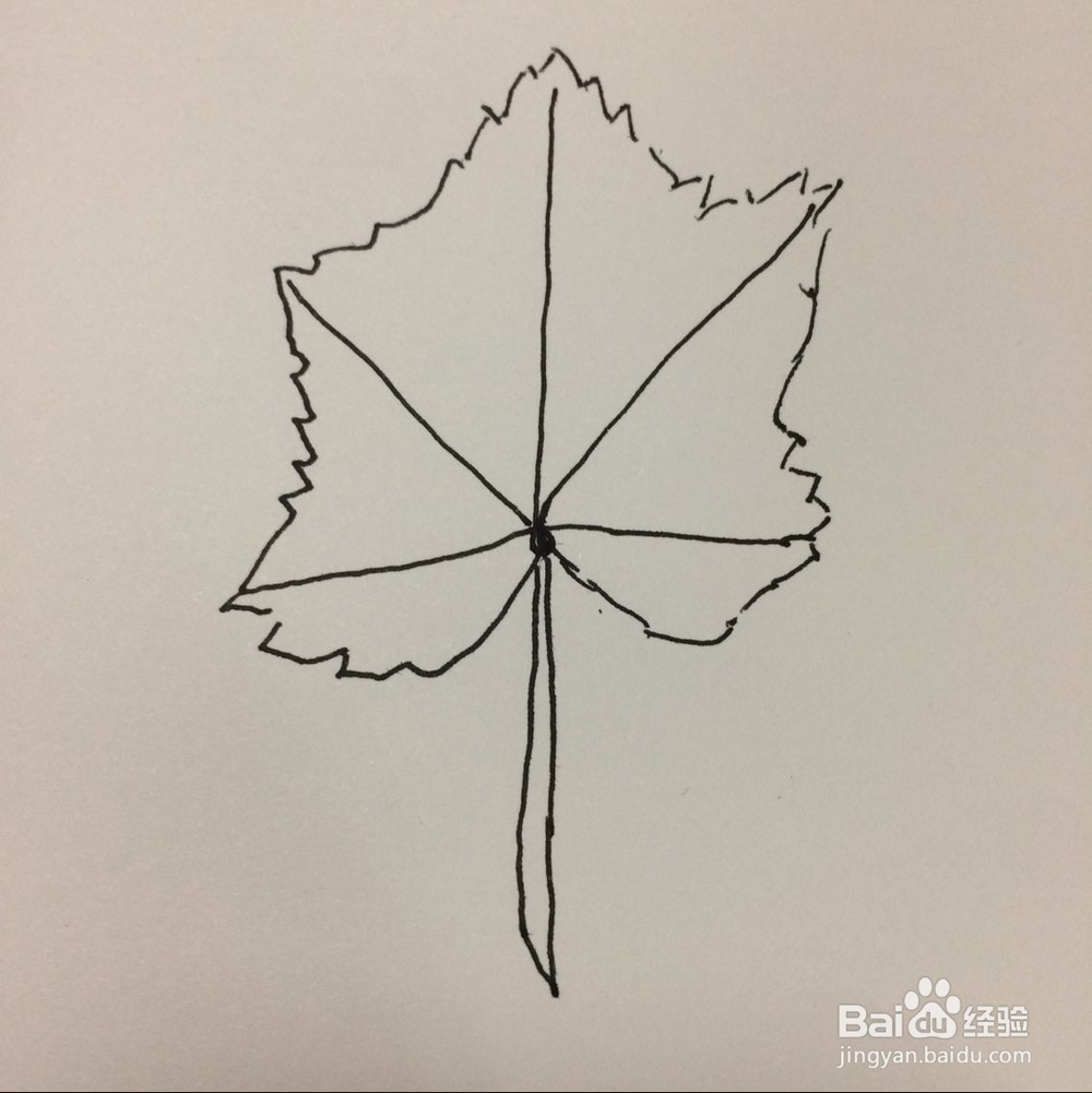 怎样简笔画树叶