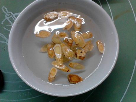 黄芪红枣小米粥