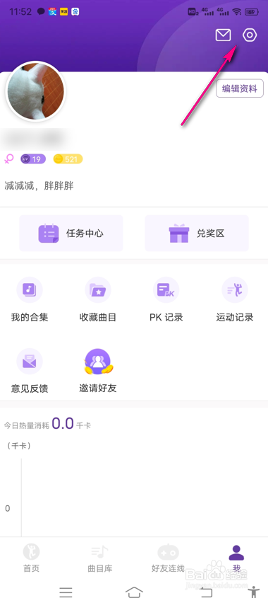 poser跟跳怎么显示自己的画面