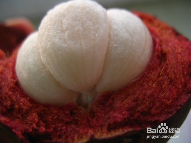 山竹怎么样剥更好