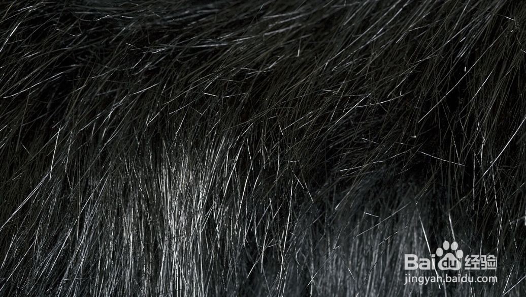 年纪不大就长白头发通常都是因为肾不好蚂蚁庄园