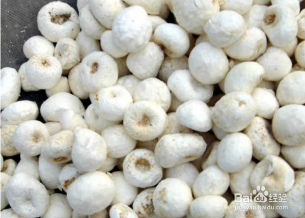 病毒性肝炎【华佗妙法】：[1]藿朴夏苓柴草汤