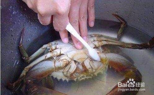 吃螃蟹的正确打开方式