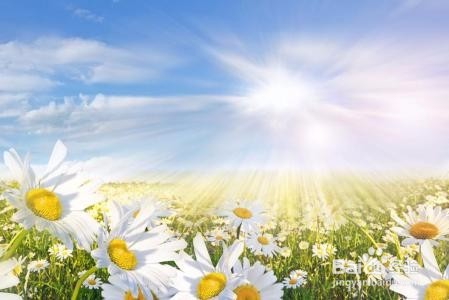 怎么正确看待自己的生活和自己的发展道路?