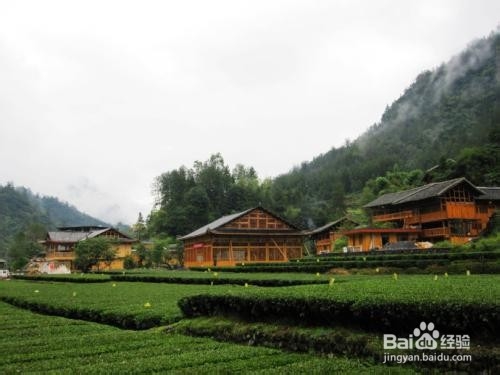 恩施坪坝营旅游攻略