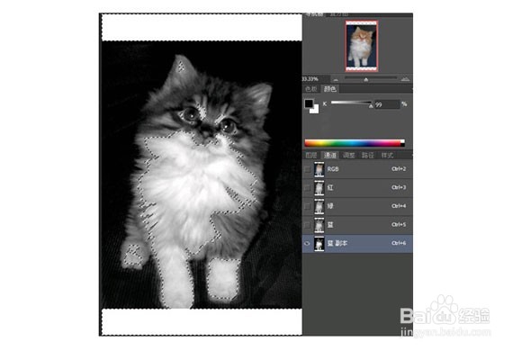 Photoshop制作星空猫图案