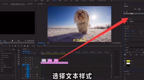 pr有什么使用技巧