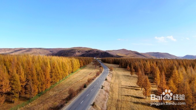 穿越林海寻找银河与极光阿尔山呼伦贝尔