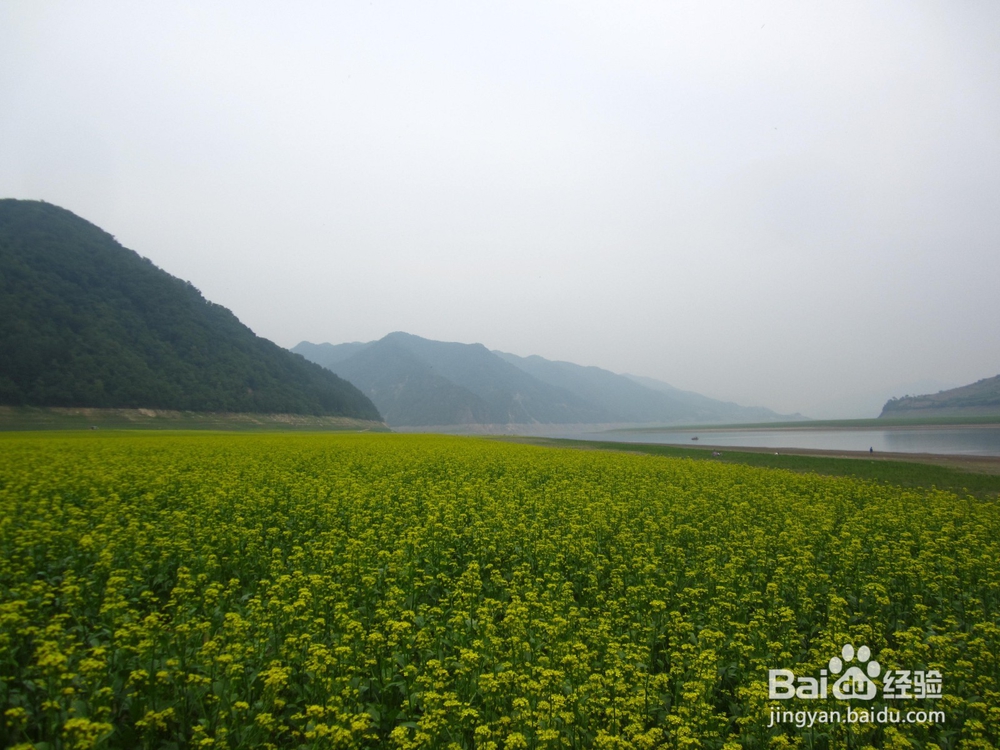 沈阳自助游攻略