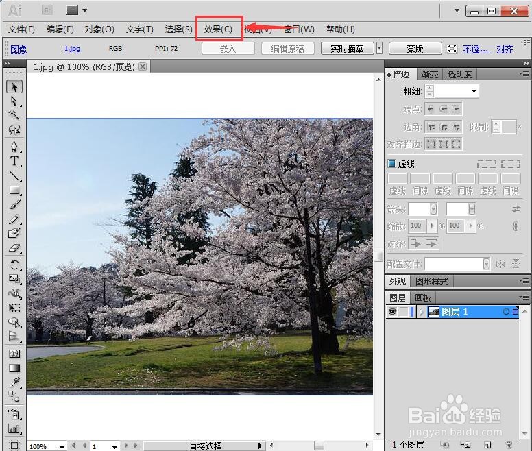 在AI中给图片添加调色刀艺术效果