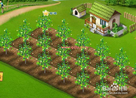 怎样下载qq农场