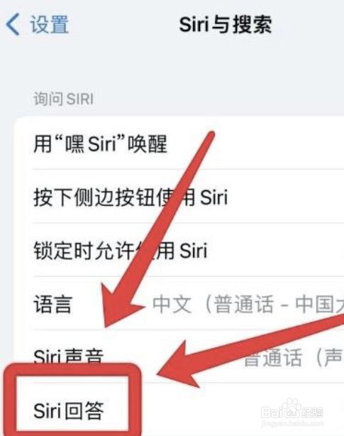 苹果怎么文字显示与Siri的对话