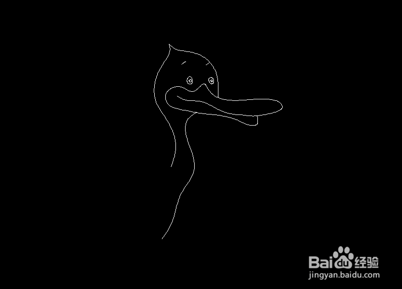 使用CAD如何画扁嘴鸭