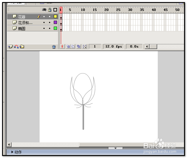 怎样用FLASH画玫瑰花?怎样鼠绘玫瑰花?