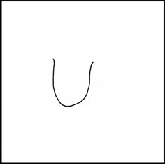 怎样画简笔画（花卉）：[1]郁金香