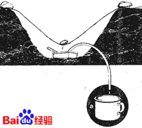 沙漠旅行中没有水或水不够了怎么办?