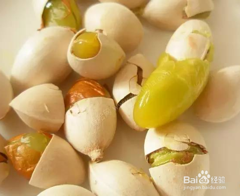 药学：中药养生之银杏