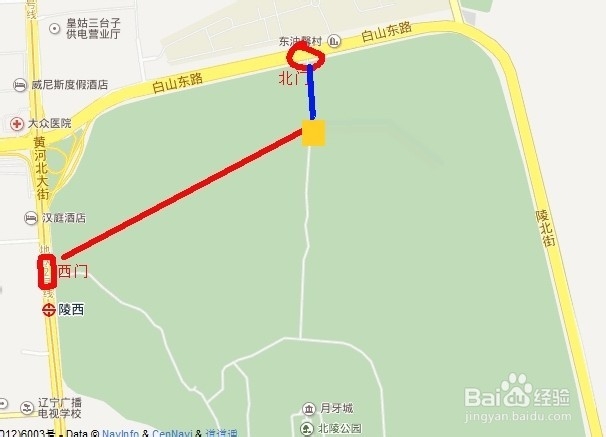 如何探寻沈阳北陵公园的古松群（神树）