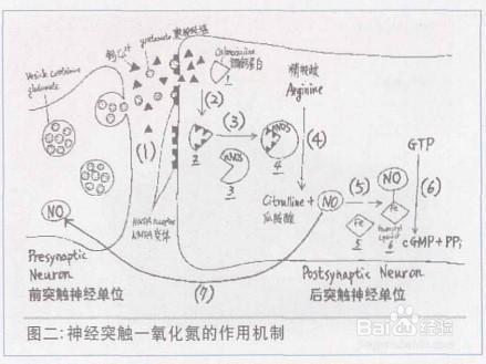 你不知道的这些神奇气体，它们就在每天呼吸的空气中