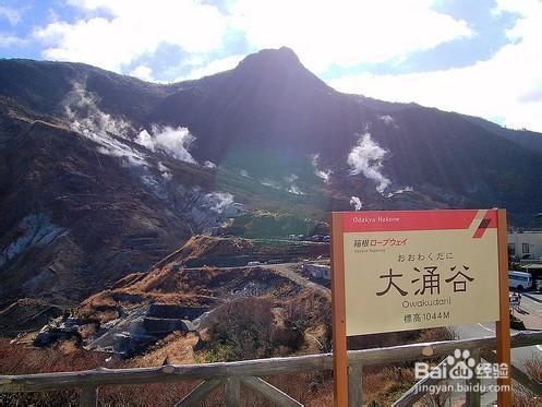 抗衰老护肤美肌学泡汤