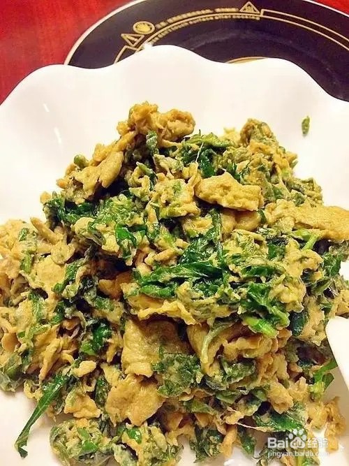 新鲜桑叶嫩芽怎么吃