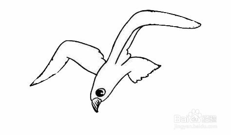 海鸥的简笔画
