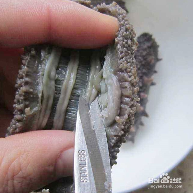 揭秘：为什么干海参怎么泡发都不大的原因