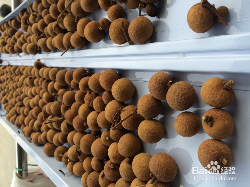 龙眼干的晒法