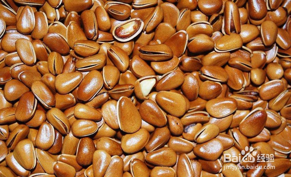 怎样在烤箱里烤松子