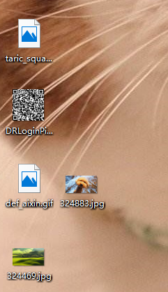 回收站内容删除了怎么恢复