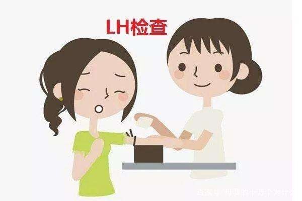 LH是什么意思