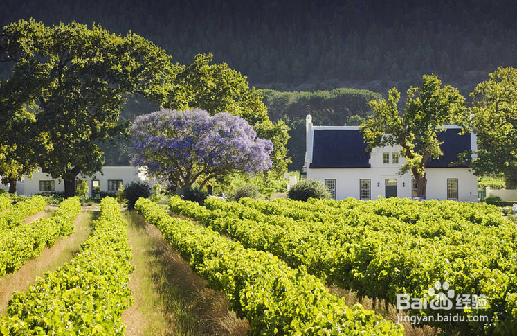 外国人眼中的此生必去之地,中国的这里上榜