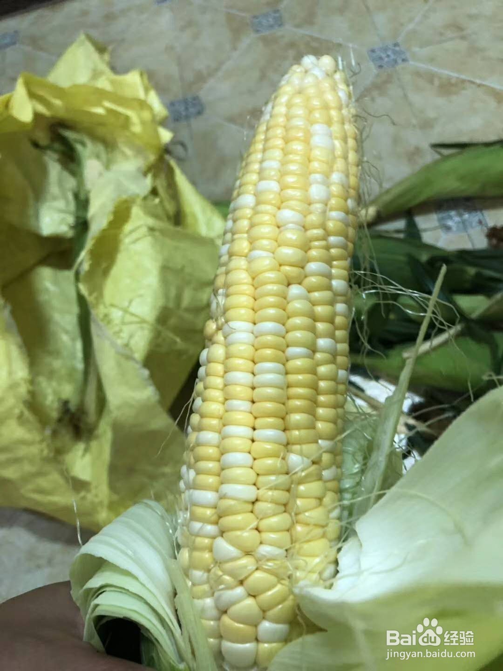 光明稻田农场一日游攻略