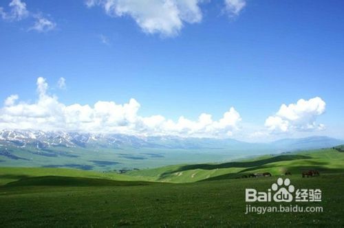 天山深处的绿岛那拉提游记攻略