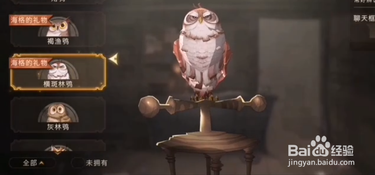 哈利波特魔法觉醒宠物怎么获得