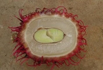 食用红毛丹的好处及注意事项