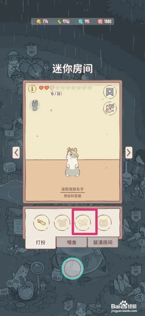 猫咪和汤怎样给猫咪戴水晶球