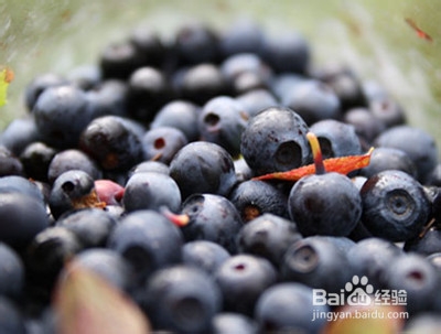 延缓衰老的食物