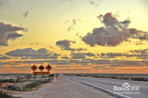 澳大利亚房车比价小技巧