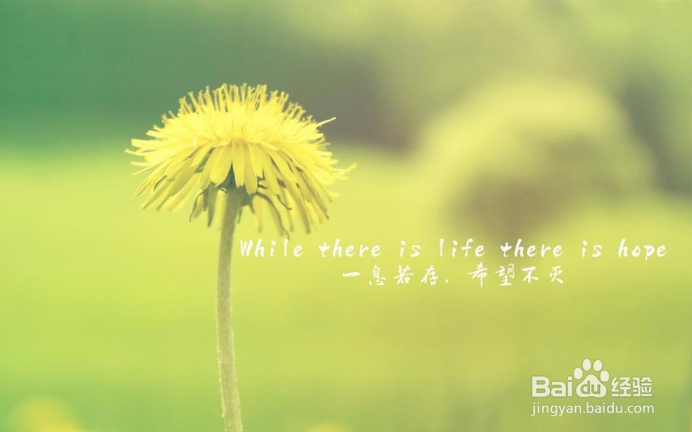 2016年12月英语六级真题作文写作经验