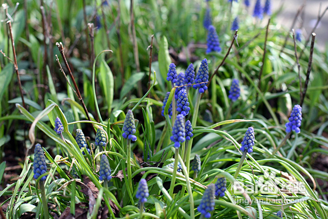宝宝的睡前小读(组图)