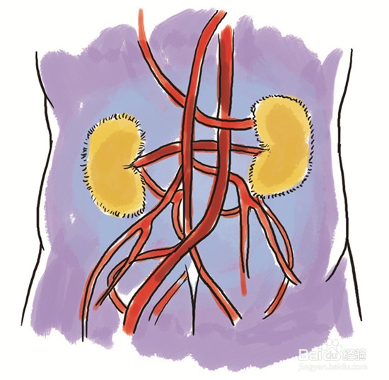 关于生蚝你该知道的8件事情!