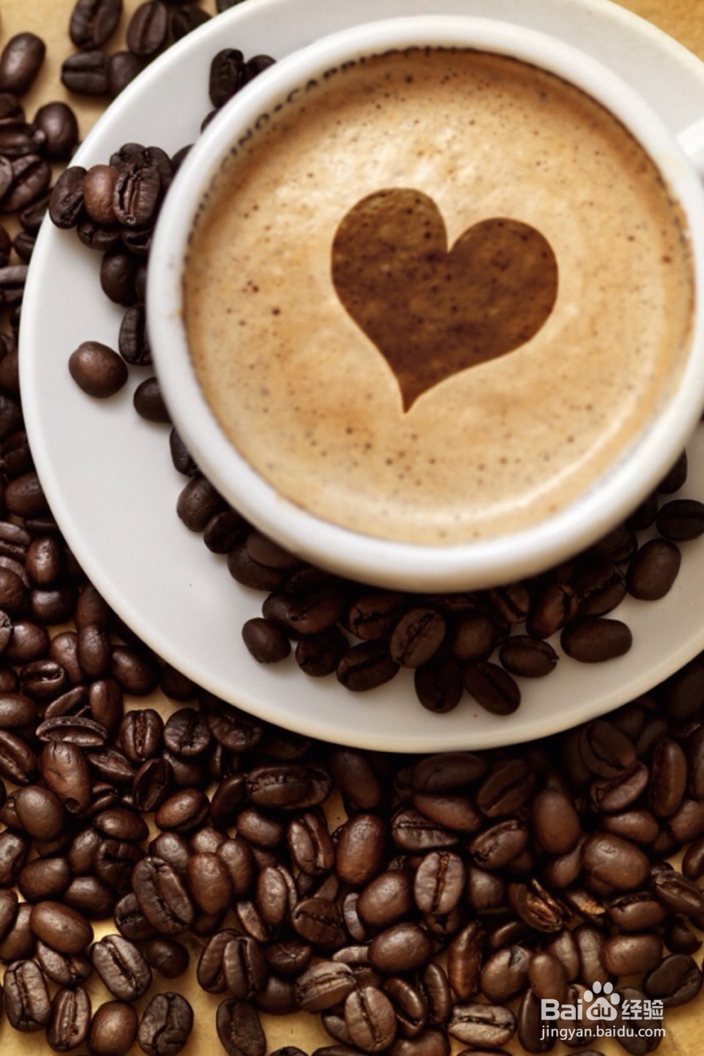 狗狗不能吃什么